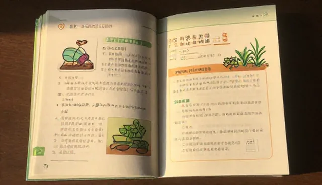 技术适配中两种维护方法的实际取舍